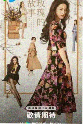 清辉如练 电视剧 2025